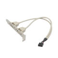 Motherboard 9-pin To Dual Usb2.0 Port Baffle Cable